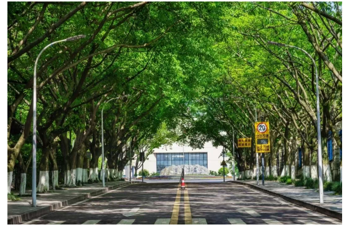 职场晋升总卡壳？重庆工商大学在职课班究竟有何神奇“魔力”？