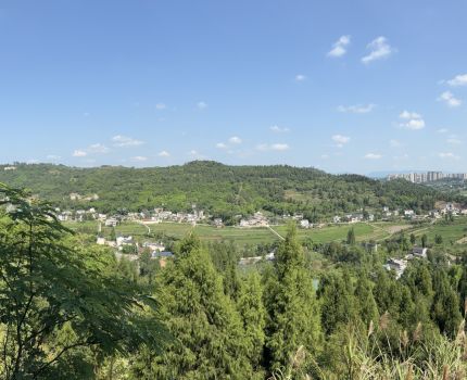 公共管理学院人文地理与城乡规划教师赴大足开展实践教学共同体行动及“送规划下乡”活动