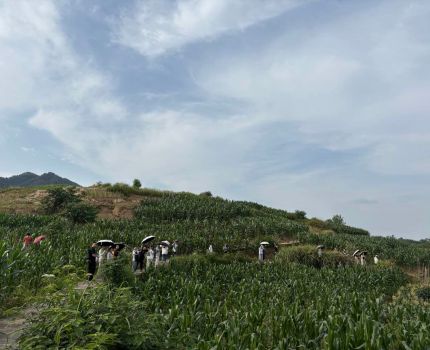 政校协同搭平台 三方联动育英才—— 2025年重庆市大学生巴渝和美乡村规划大赛决赛暨重庆工商大学人文地理与城乡规划专业城乡规划综合实习汇报圆满举行