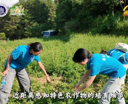 重庆工商大学会计学院向日葵青年志愿者服务队顺利开展&ldquo;青衿赴乡野，数智助新农&rdquo;微视频大赛活动